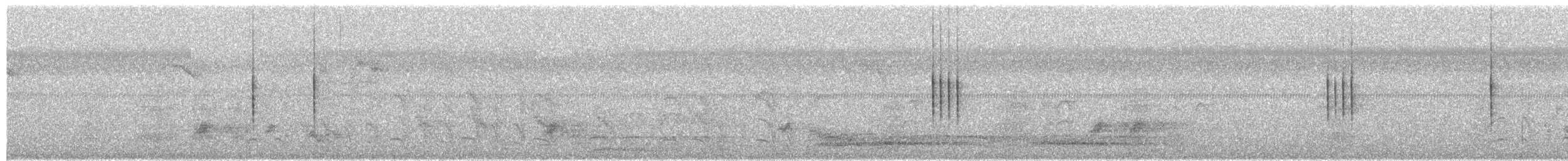 Pigliamosche pettirosso - ML649835519