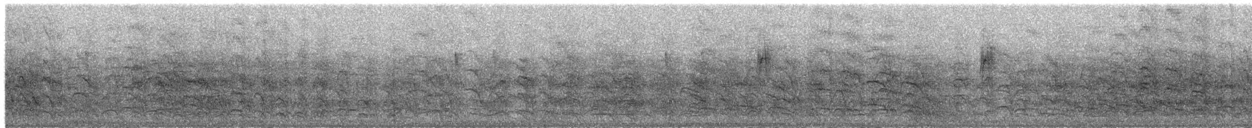 Jungle Babbler - ML649835543