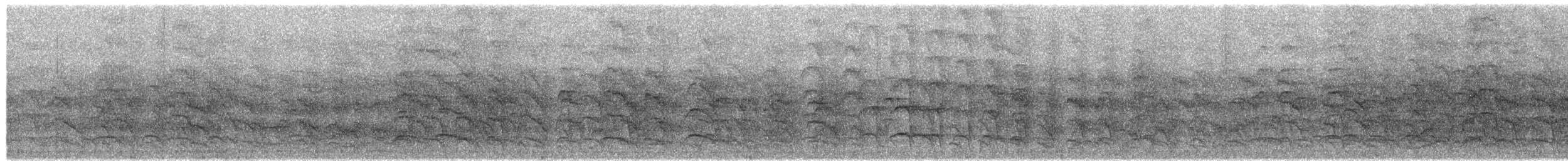 Jungle Babbler - ML649835544