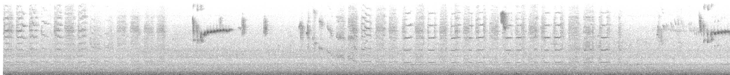 Spotted Scrubwren - ML649836748