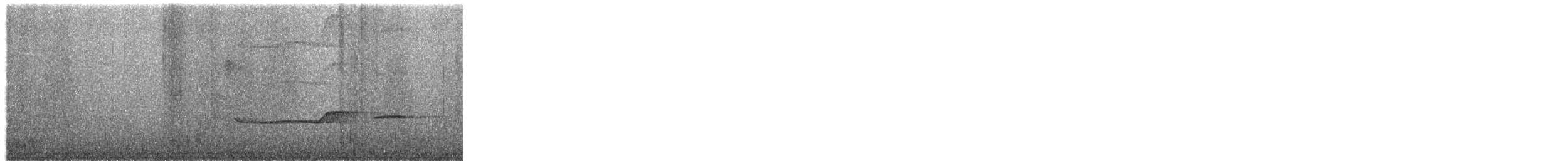 Llorón de Verapaz (grupo veraepacis) - ML649844354