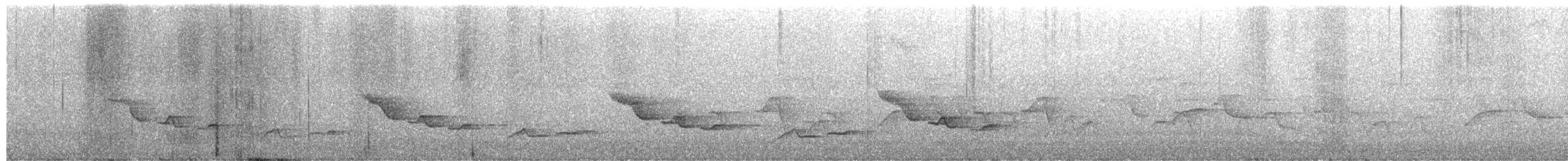 Cucarachero Pinto - ML649844585