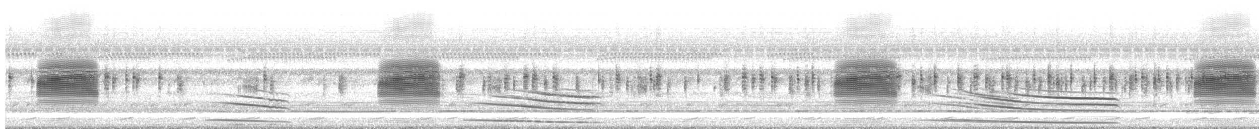 Brown-bordered Snouted Tree Frog - ML649844802