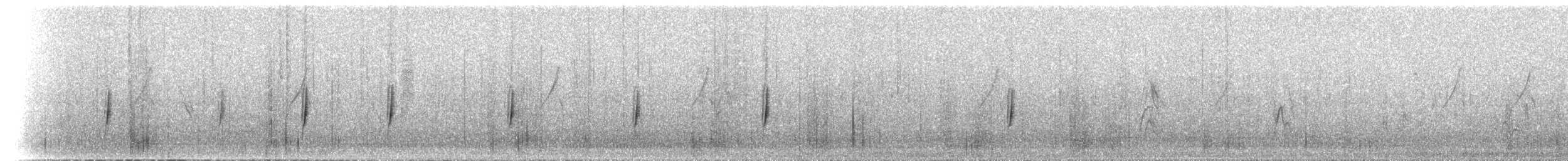 Viuda del Sahel - ML649846146