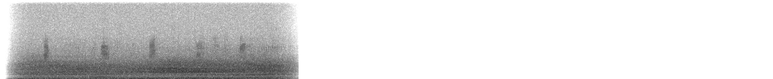 Viuda del Sahel - ML649846147