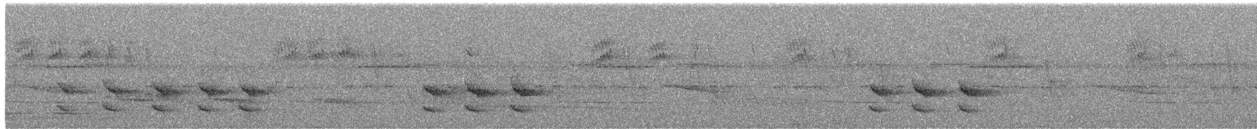 Western Woodhaunter - ML649882263