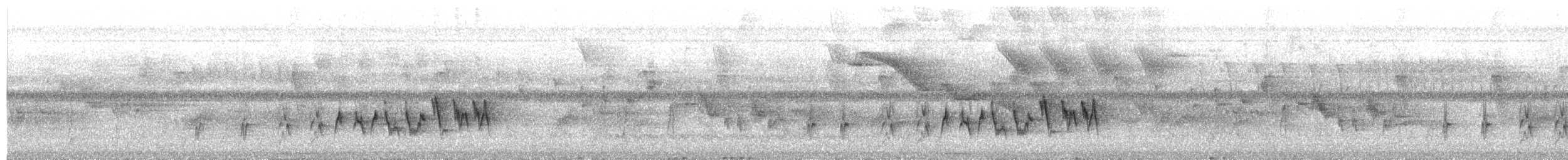 Paruline rubanée - ML649883685