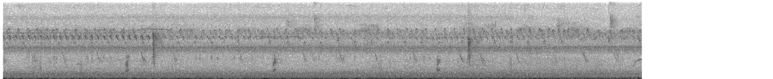 チャイロツグミモドキ - ML649883848