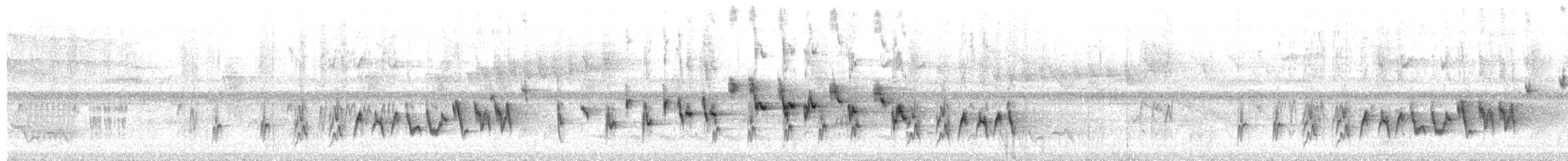 Paruline rubanée - ML649883895