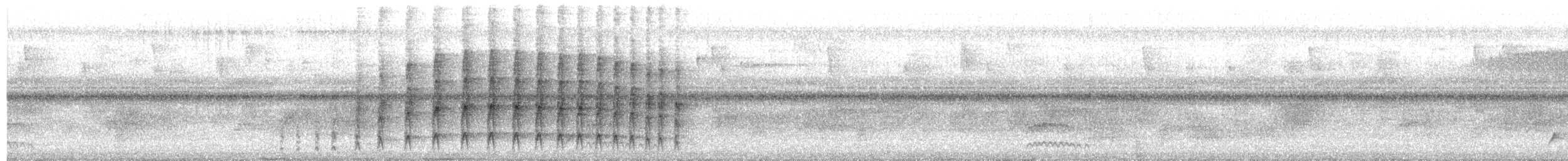 Anabate à sourcils fauves - ML649884152