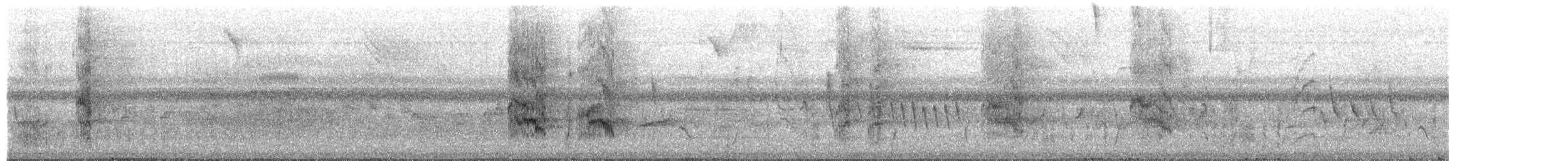 Conure de Molina - ML649884262