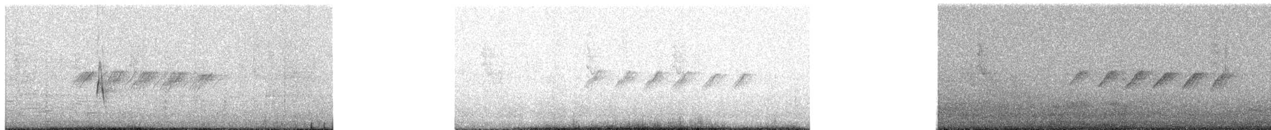 White-browed Gnatcatcher - ML649884824