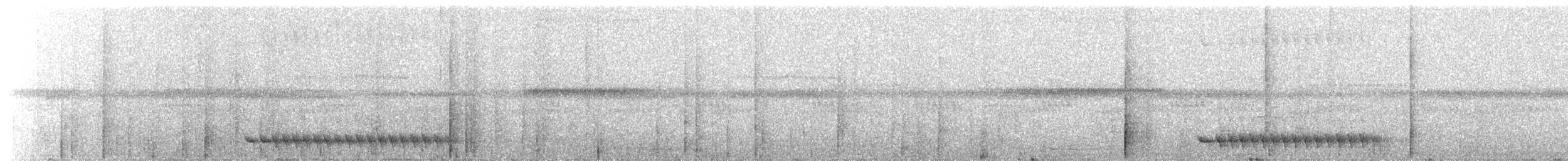 Thicket Antpitta - ML649884935