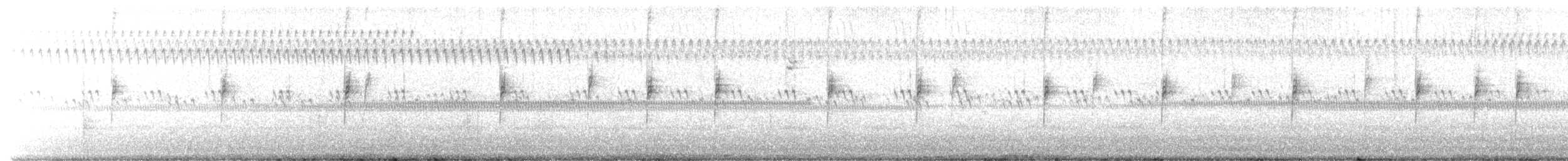White-crowned Sparrow - ML649885341