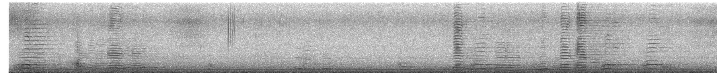 Trumpeter Swan - ML649885432