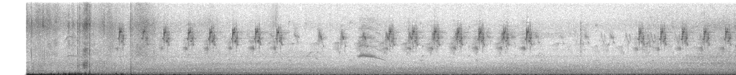 Prinia gracile - ML649889408