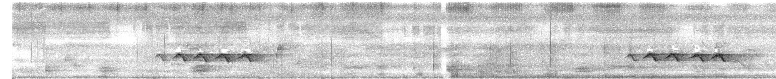 Изящный медосос - ML649895564