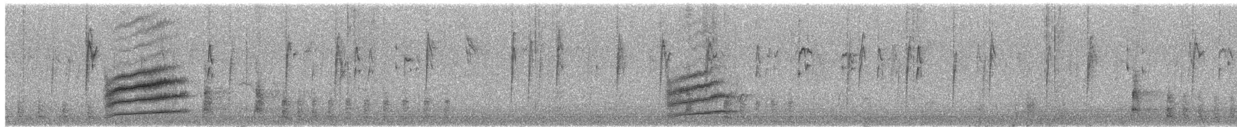 Spotted Towhee - ML649906535