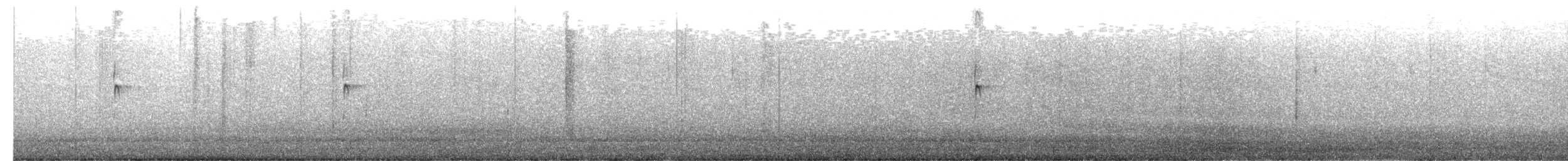 Solitary Sandpiper - ML649914466