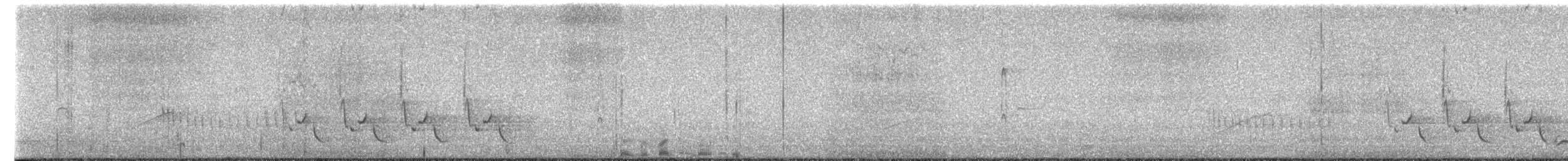 Carolina Wren - ML649917430