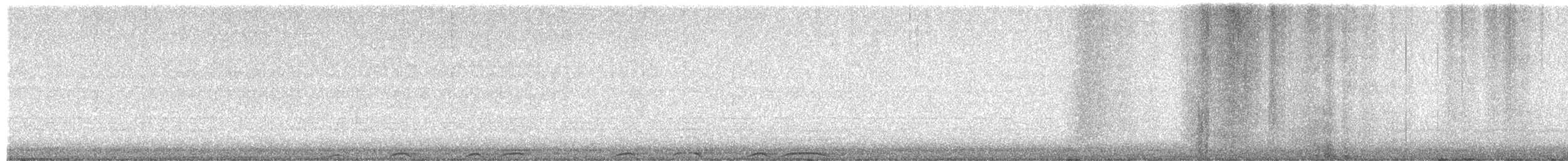 Barred Owl - ML649922025