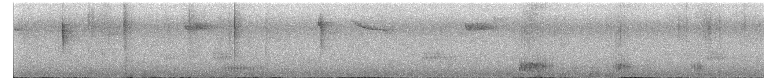 Trogón Caribeño - ML649922428