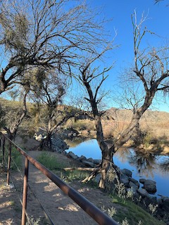 Salt River--Coon Bluff Recreation Area, Maricopa, Arizona, United ...