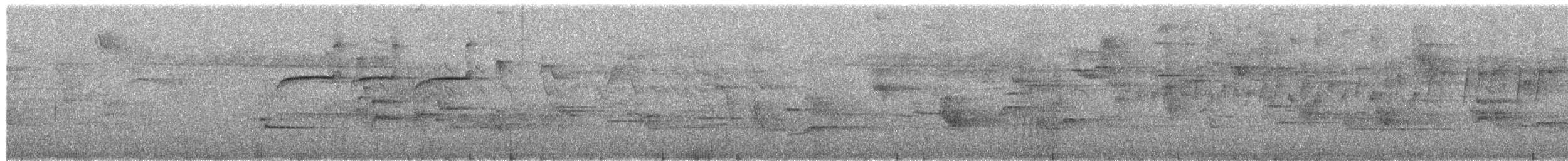 Buff-banded Tyrannulet - ML649932289