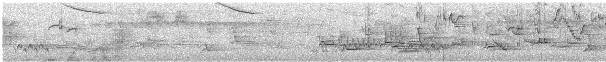 Buff-banded Tyrannulet - ML649932290