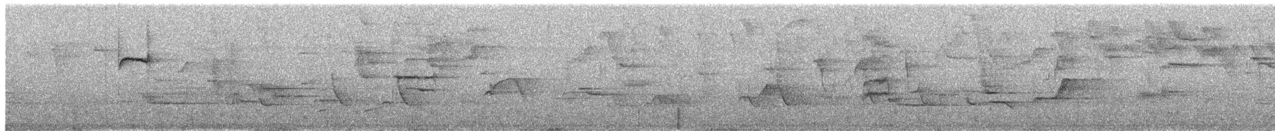 Buff-banded Tyrannulet - ML649933701