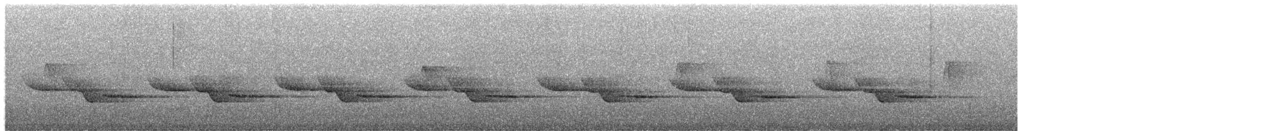 Cucarachero Pechiblanco - ML649933921