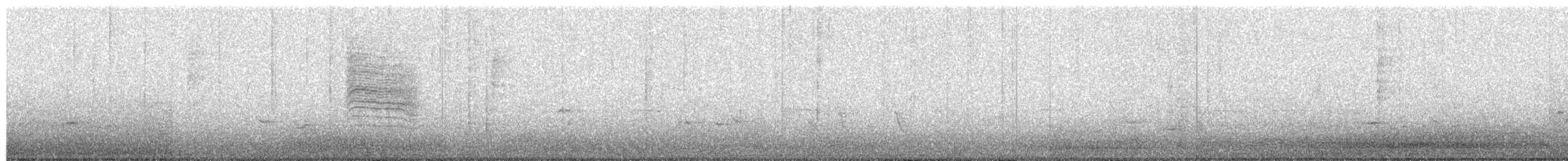 Tropical Gnatcatcher - ML649934056