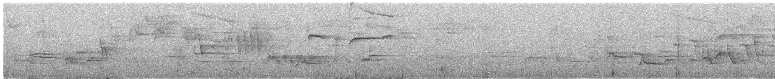 Buff-banded Tyrannulet - ML649934276