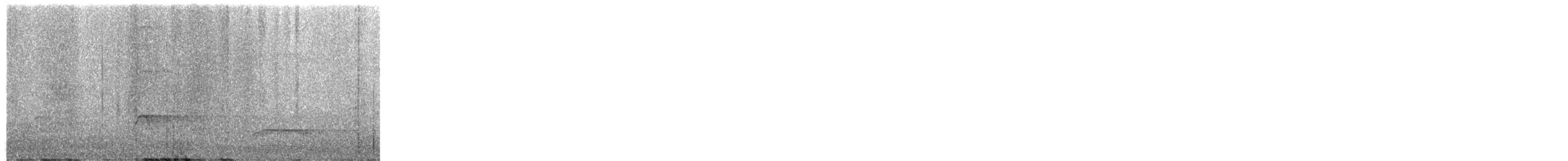 Cuco Ardilla Común (Centroamericano) - ML649935263