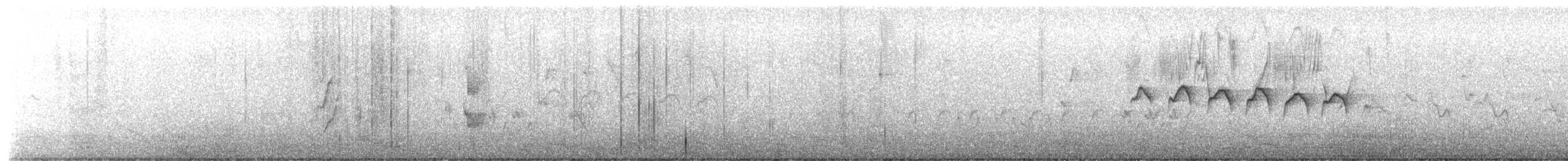 Tropical Gnatcatcher - ML649936715
