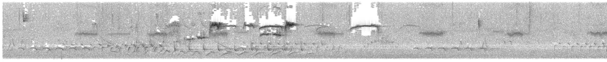 Reinita Dorsiverde - ML649939661