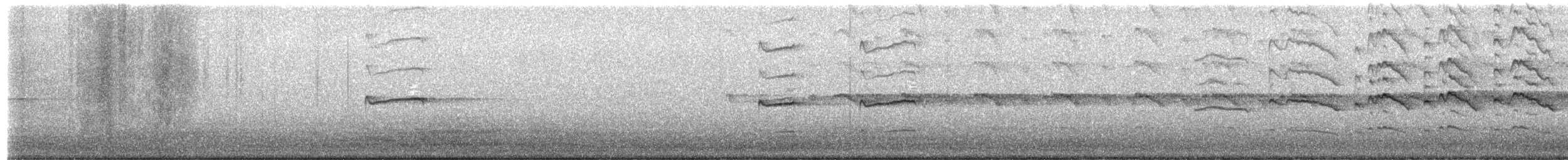 Balbuzard pêcheur - ML649940199