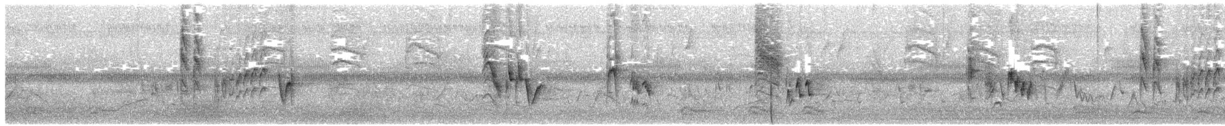 Vireo Cabecinegro - ML649940317