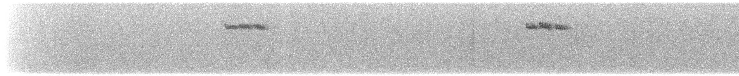 Reyezuelo Sátrapa - ML649940497