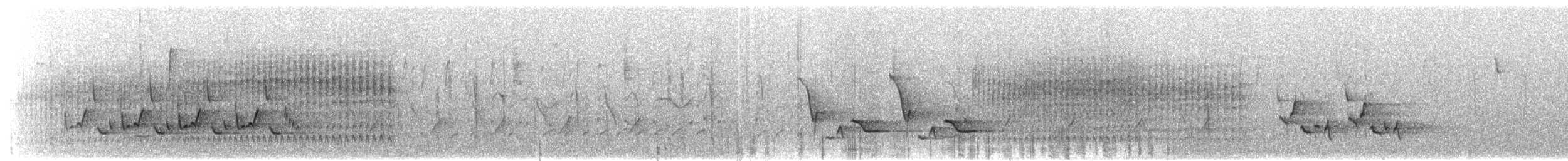 Cucarachero de Carolina - ML649940502