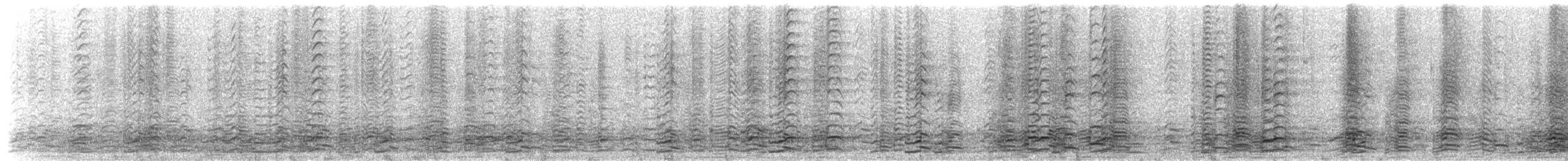 Cackling Goose - ML649944378