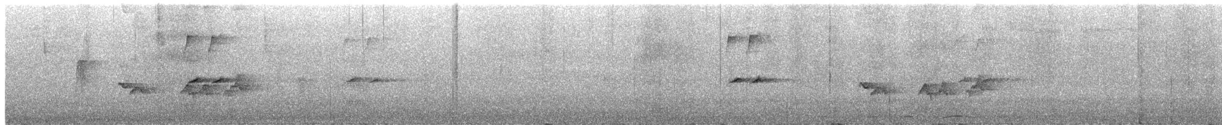 Picogrueso Azul - ML649944623