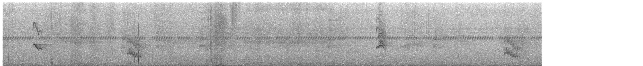 Saltarín Cuelliblanco - ML649944837