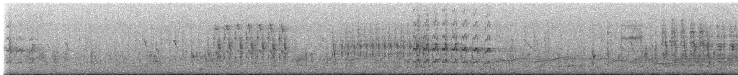 Cernícalo Americano - ML649947447