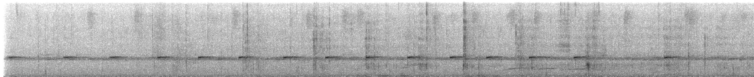 Mottled Owl (Mottled) - ML649954192