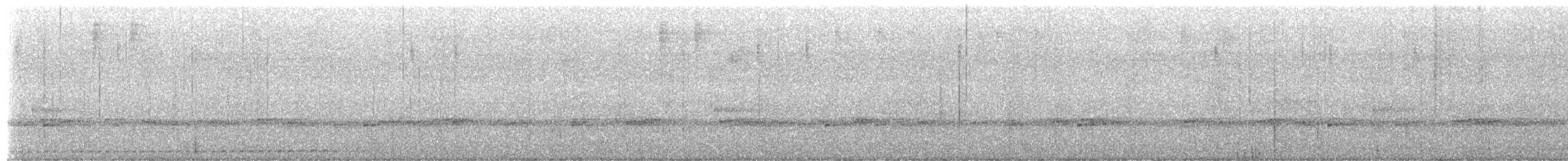 Undulated Antpitta - ML649954195