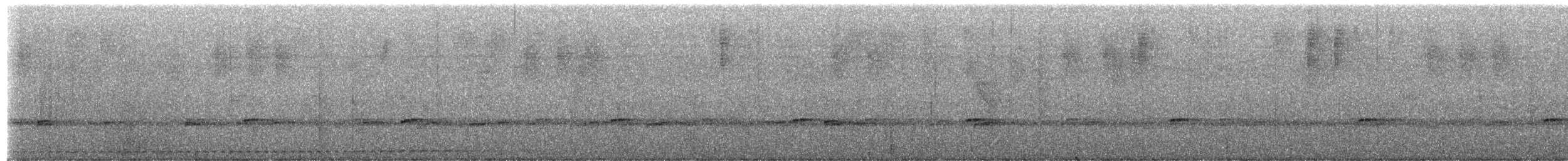 Undulated Antpitta - ML649954347