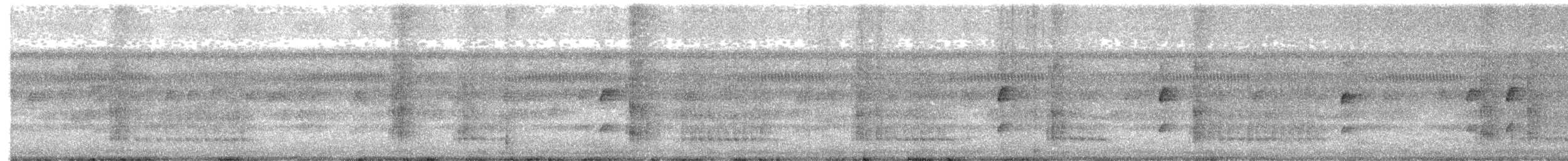 Sonnenralle - ML649954713