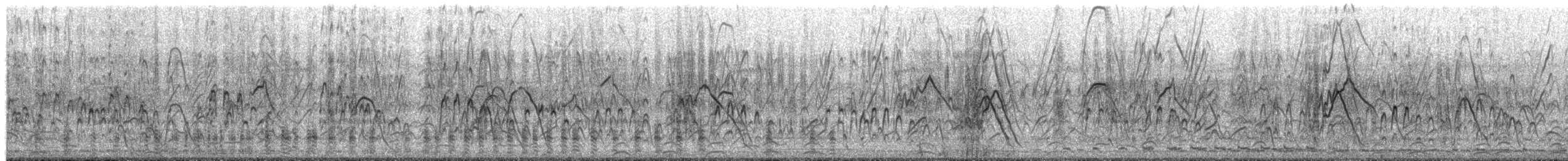 Hardhead - ML649957250