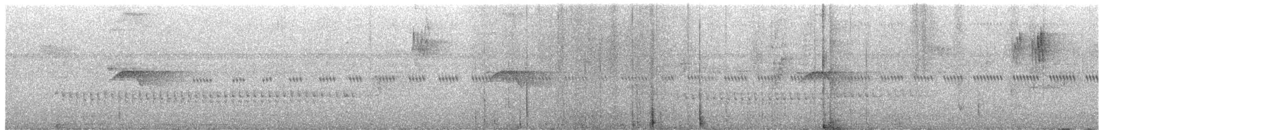 Soterillo Picudo - ML649959281